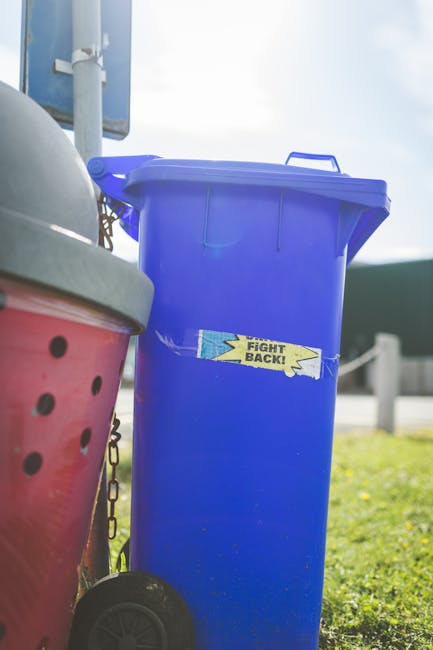 Tips to Avoid Delays in Bayswater Rubbish Collection Bookings